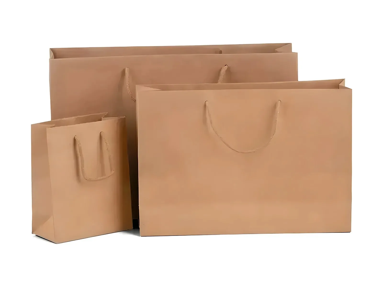 Sac kraft à poignées torsadées
